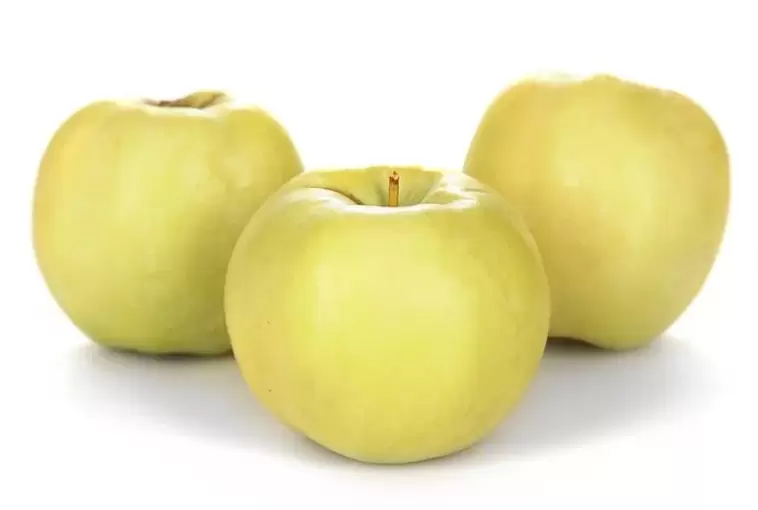 Äppel fir d'Behandlung vu Krampfadern
